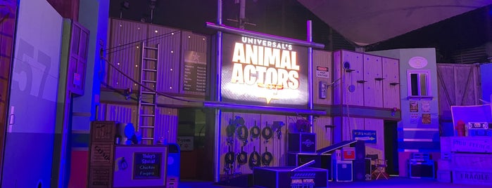 Universal's Animal Actors is one of USA Trip 2011.