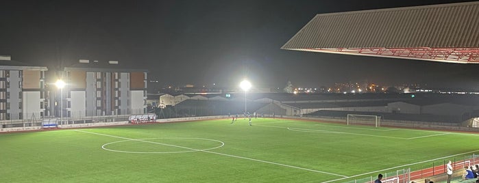 Ali Durmaz Stadyumu is one of Miting alanları.