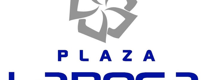 Plaza La Roca is one of Fernandoさんのお気に入りスポット.