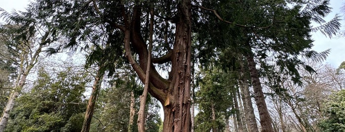 Powerscourt House and Gardens is one of Dublin.