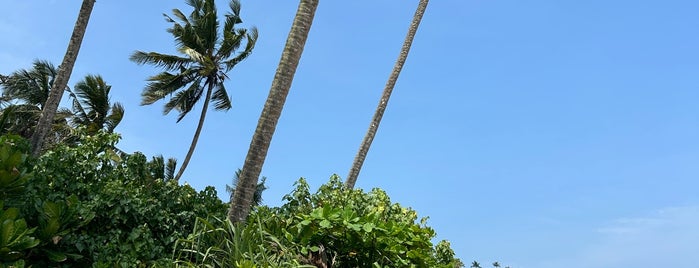 Secret Beach, Mirissa is one of Sri Lanca.