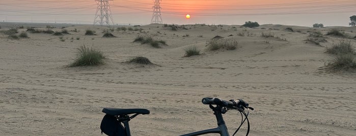 Al Qudra 50k Cycling Track is one of Dubai Daytime.