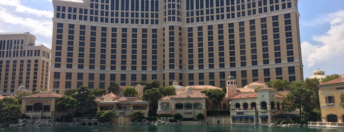 Fountains of Bellagio is one of Deniz’s Liked Places.