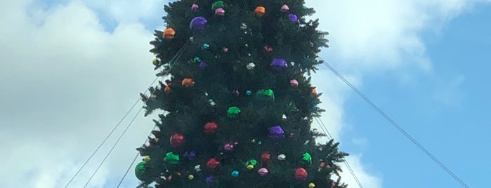 GWB Christmas tree is one of สถานที่ที่ Lizzie ถูกใจ.