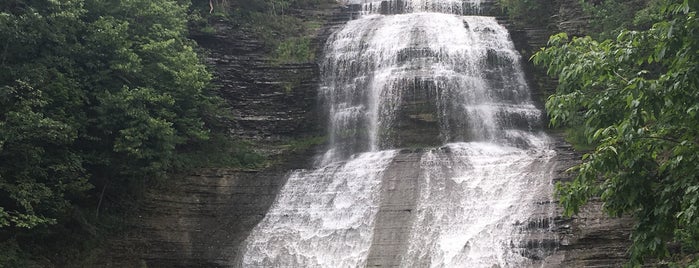 Montour Falls is one of Lizzieさんのお気に入りスポット.