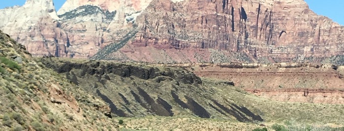 Springdale & Zion Canyon Visitor Center is one of Posti che sono piaciuti a Lizzie.