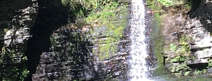 Deer Leap falls is one of Tempat yang Disukai Lizzie.