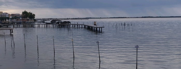 Lago di Lesina is one of Luciaさんのお気に入りスポット.