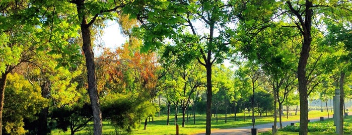 Parc de la Fontsanta is one of Parques.