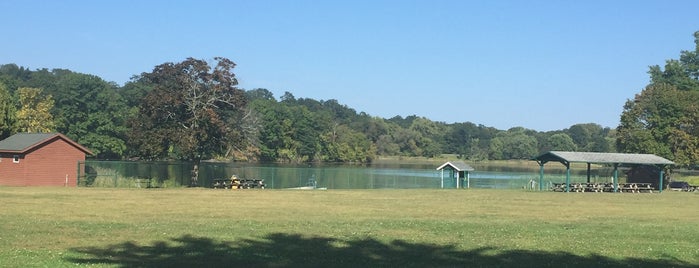 Collin's Park is one of schenectady.