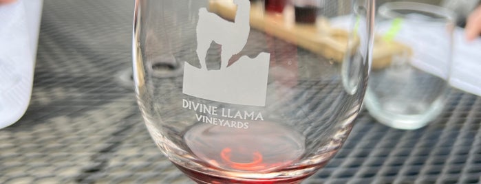 Divine Llama Vineyard is one of Yadkin Valley Wineries.