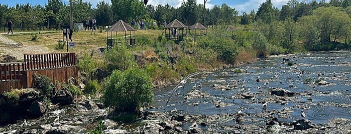 Erciş Balık Bendi is one of Tempat yang Disukai Sinasi.