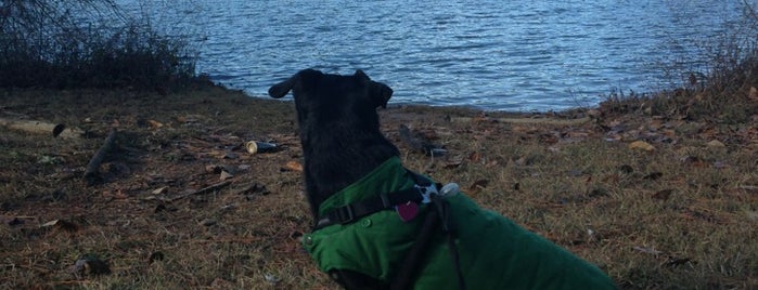 Shelley Lake Trail is one of Raleigh Favorites.