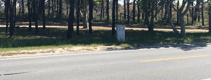 Milestone Cranberry Bog is one of Nantucket & the Vineyard.