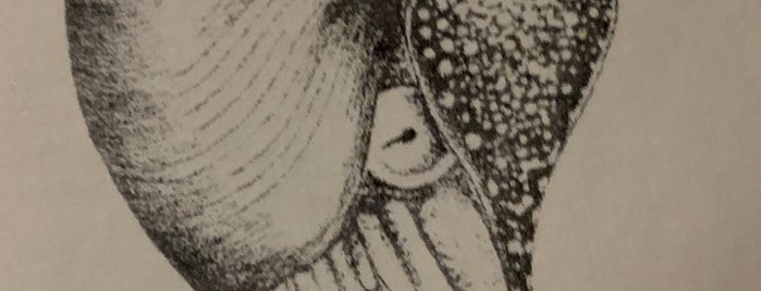 The Nautilus is one of Lugares favoritos de Pete.