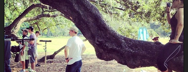 The Tree of Life is one of Lugares favoritos de Bryan.