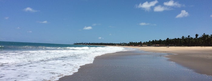 Praia de Maracaípe is one of Tempat yang Disukai Laila.