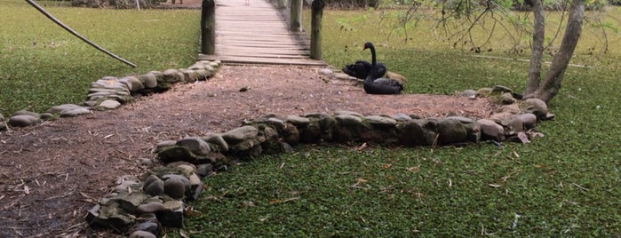 Jardim Botânico de Porto Alegre is one of Laila'nın Beğendiği Mekanlar.