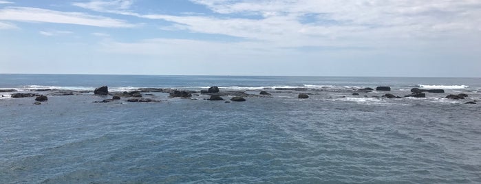 Ilha dos Lobos is one of Laila'nın Beğendiği Mekanlar.