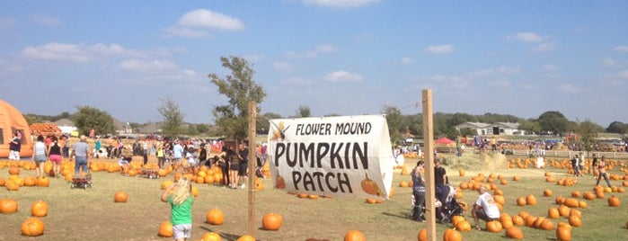 Flower Mound Pumpkin Patch is one of Tempat yang Disukai Mike.