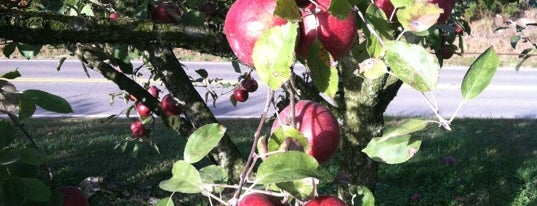 Hillcrest Orchards is one of Historic High Country.