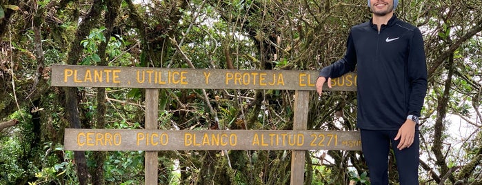 Pico Blanco is one of San José.