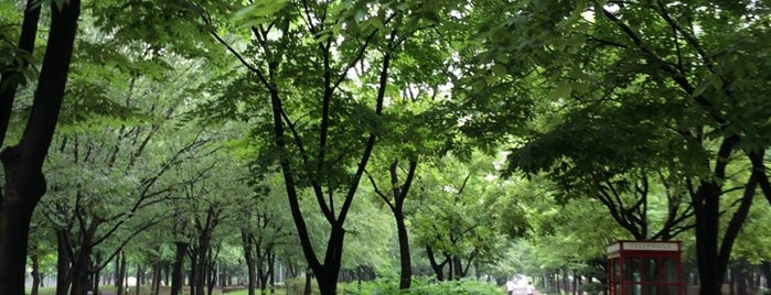 Seoul Forest is one of seoul.