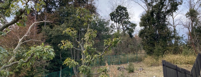 史跡 闘鶏山古墳 is one of 大阪の史跡.