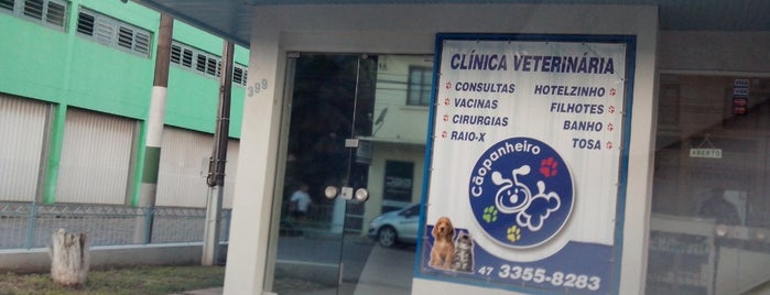 Cãopanheiro Clínica Veterinária is one of I like (y).