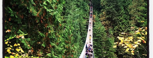 Capilano Suspension Bridge is one of Vancouver, BC !.