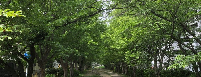 新船場西公園 is one of 公園.