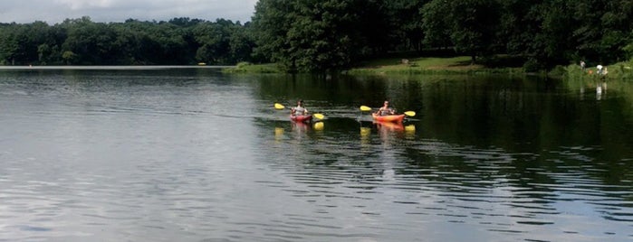 Rock Cut State Park - Lake View Picnic Area is one of Hit List Top Places Chicago IL.