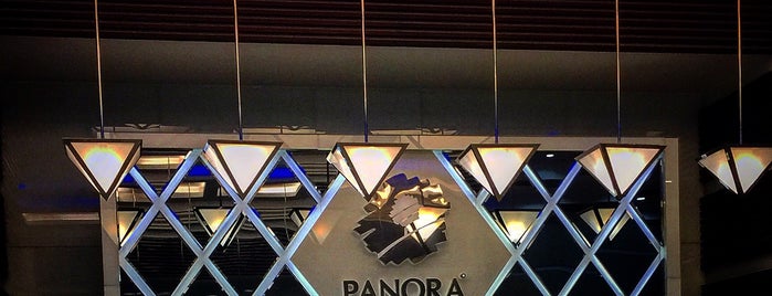 Panora is one of 103372’s Liked Places.