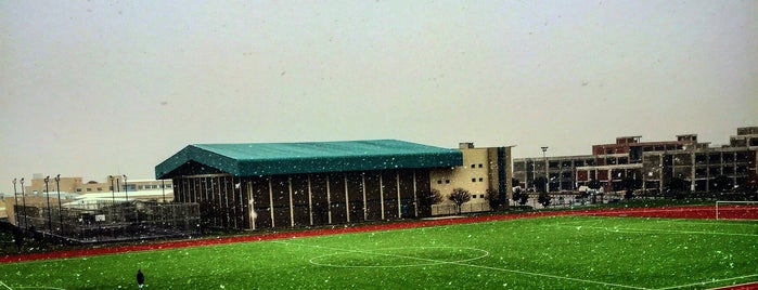 DEÜ Atletizm ve Futbol Sahası is one of Locais curtidos por 103372.