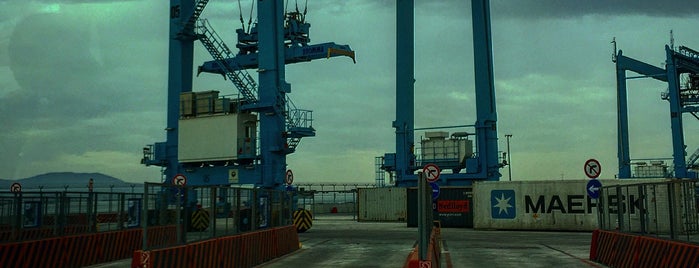 APM Terminals is one of Tempat yang Disukai 103372.