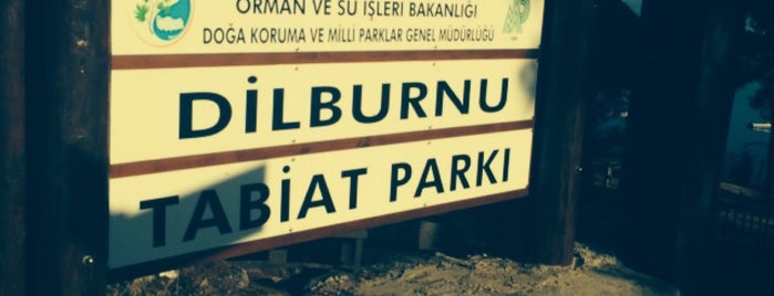 Dilburnu Mesire Alanı is one of 103372 : понравившиеся места.