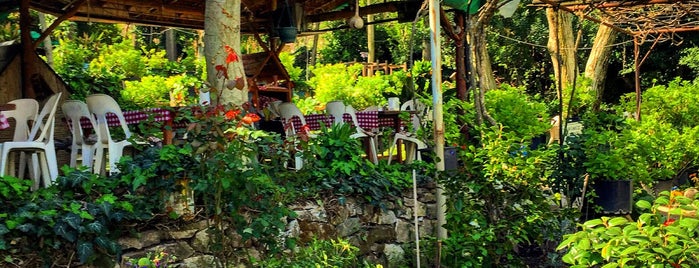 Değirmen Şelale Restaurant is one of Orte, die 103372 gefallen.
