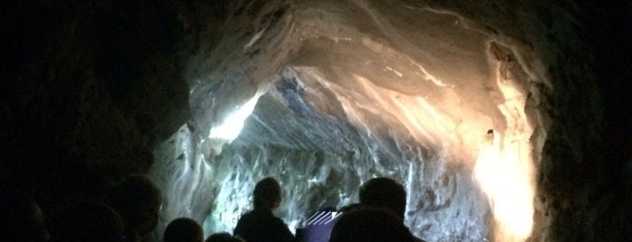 Penn's Cave is one of Georgeさんのお気に入りスポット.