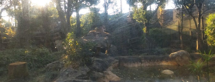 Tiger Forest is one of Tempat yang Disukai Horimitsu.