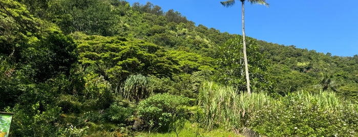 Waimea Valley is one of Oahu.