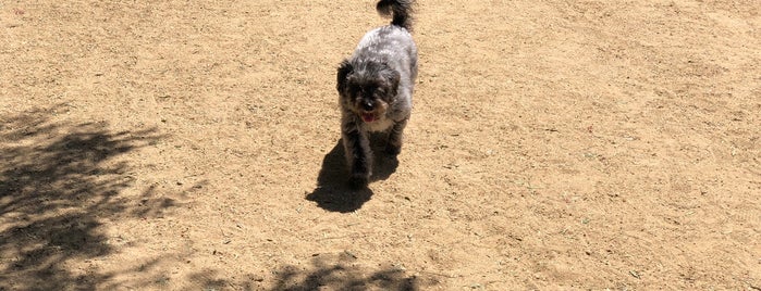 Culver City Dog park is one of Where Pet's Can Play in LA.
