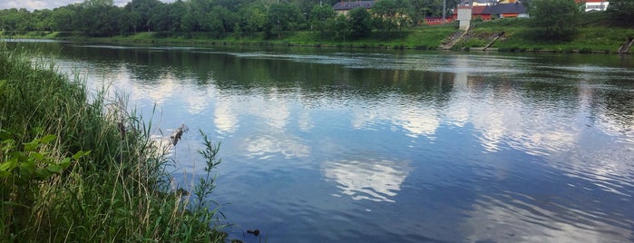 Mosel is one of Tempat yang Disukai Gulden.