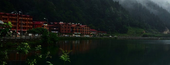 Uzungöl is one of Guldenさんのお気に入りスポット.