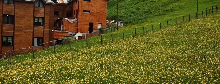 Ayder Yaylası is one of Lieux qui ont plu à Gulden.