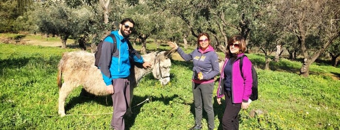 Αισθητικό Δάσος Καισαριανής is one of Spiridoula'nın Beğendiği Mekanlar.