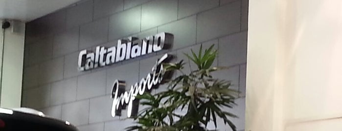Volkswagen Caltabiano is one of Dealers.