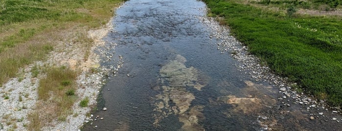 羽村堰下橋 is one of 多摩川.