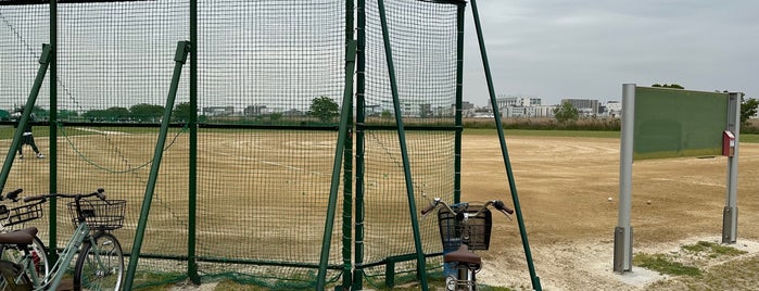 多摩川六郷橋緑地野球場 is one of baseball stadiums.