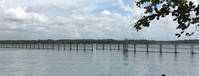 Pulau Ubin Bike Trail is one of Things to do before you die.