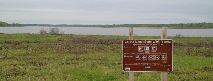 Collins Marsh is one of Lakes.